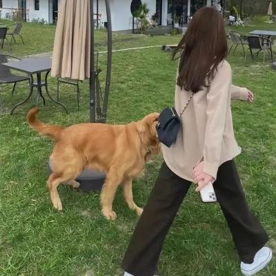 我的野蛮奶奶粤语